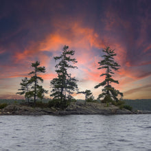 Load image into Gallery viewer, Georgian Bay Pines Trivet #0987