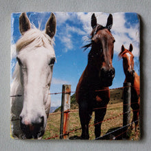 Load image into Gallery viewer, All Ears - Wall Art Square 1024