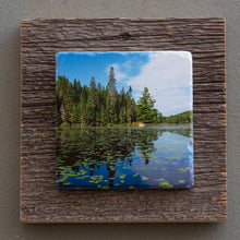 Load image into Gallery viewer, Algonquin - On Barn Board 0085