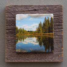Load image into Gallery viewer, Algonquin Tim River - On Barn Board 0322