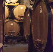Load image into Gallery viewer, Wine Cellar - Trivet #0091