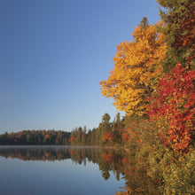 Load image into Gallery viewer, Algonquin - Trivet #0105