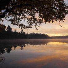 Load image into Gallery viewer, Algonquin - Wall Art Square 0239