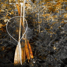 Load image into Gallery viewer, Orange Paddles - Trivet #0271