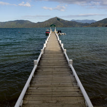 Load image into Gallery viewer, South Pacific - Trivet #2160