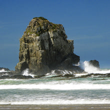 Load image into Gallery viewer, South Pacific - Trivet #2238