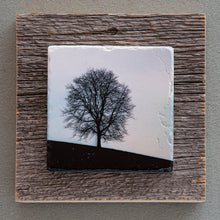 Load image into Gallery viewer, Tree B&W - On Barn Board 3876