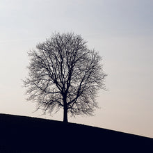 Load image into Gallery viewer, Tree B&W - Trivet #3876