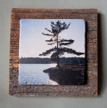 Load image into Gallery viewer, Muskoka Pine Point - On Barn Board 5142
