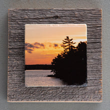 Load image into Gallery viewer, Muskoka Pines Sunset - On Barn Board 0891