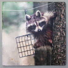 Load image into Gallery viewer, Caught In The Act - Wall Art Square 0005