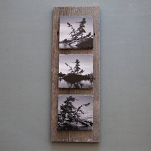 Load image into Gallery viewer, Custom Art Triptych On Barn Board