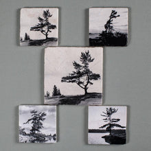 Load image into Gallery viewer, Custom Coasters and Trivet | Set of 5