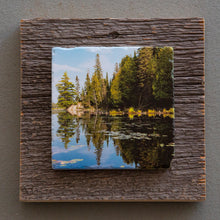 Load image into Gallery viewer, Algonquin - On Barn Board 6790