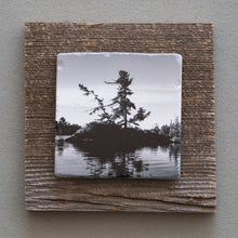 Load image into Gallery viewer, Windswept Pine B&W - On Barn Board 0854