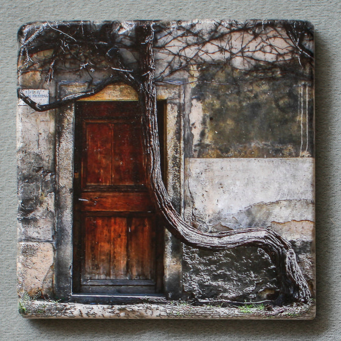 The Crooked Tree - Wall Art Square 0142