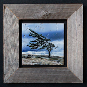Killbear Windswept Pine - Framed Barn Board Grey 9991