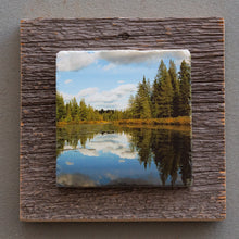 Load image into Gallery viewer, Algonquin Tim River - On Barn Board 0322
