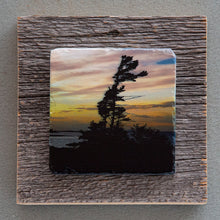 Load image into Gallery viewer, Windswept Pine - On Barn Board 0011
