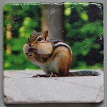 Load image into Gallery viewer, Chippy - Mouthful  Coasters #0013
