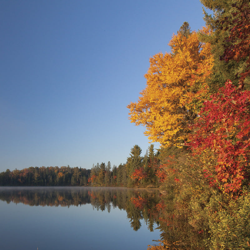 Algonquin - Trivet #0105
