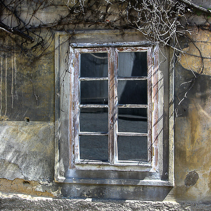 Crooked Tree Window - Trivet # 0111