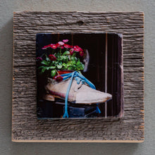 Load image into Gallery viewer, Shoe Art - On Barn Board 0116
