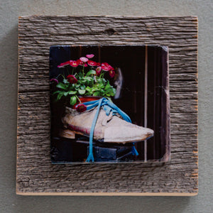 Shoe Art - On Barn Board 0116