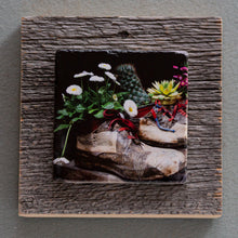 Load image into Gallery viewer, Shoe Art - On Barn Board 0121
