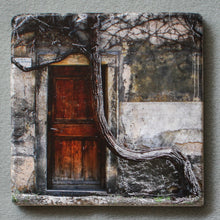 Load image into Gallery viewer, The Crooked Tree Wall Art
