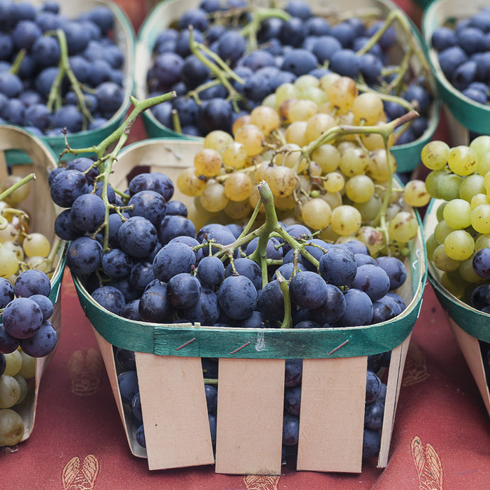 Muscat Grapes - Trivet #0192