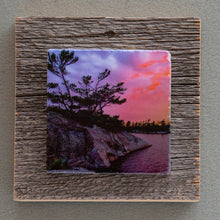 Load image into Gallery viewer, Sunset Point - On Barn Board 0195
