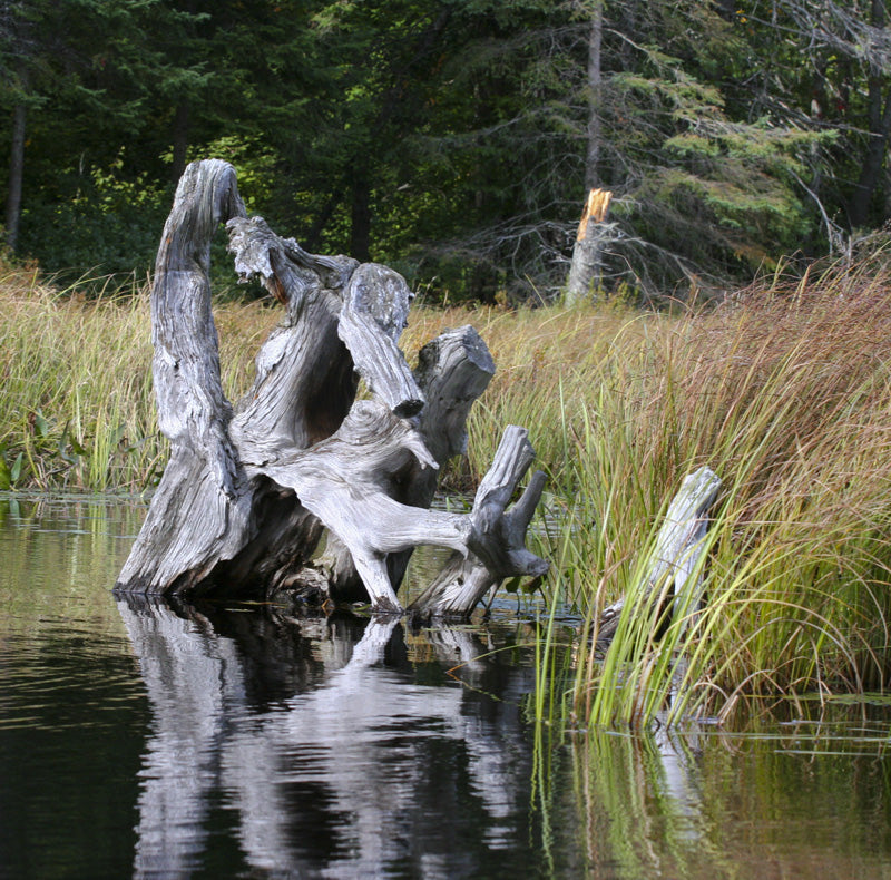 Algonquin - Trivet #0215