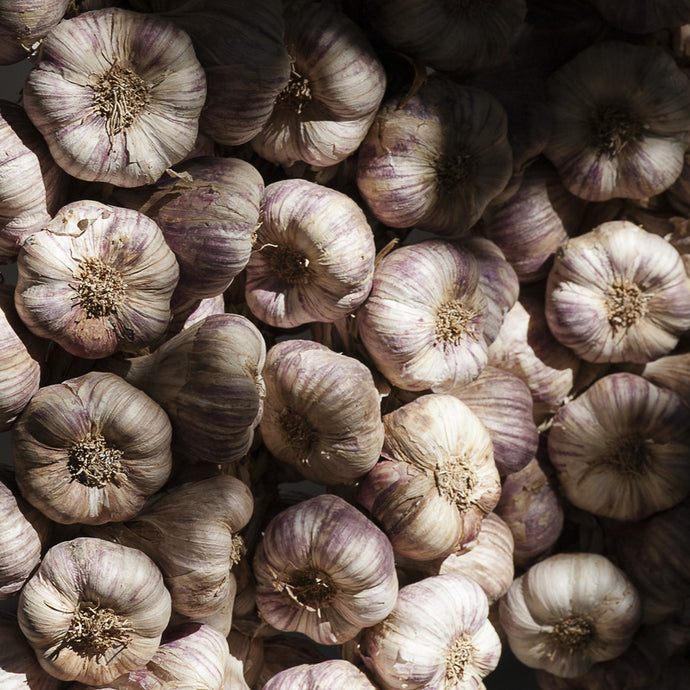 Garlic Cloves - Trivet #0442