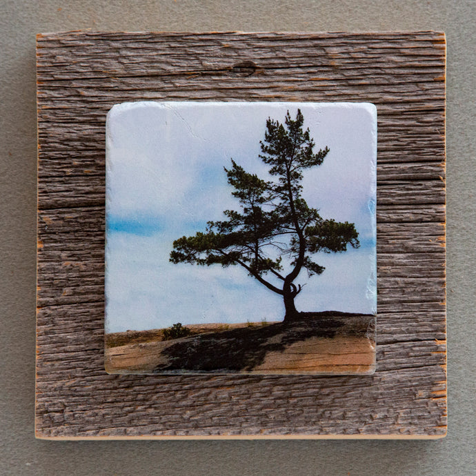 GB Pine - On Barn Board 0600