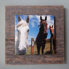 Load image into Gallery viewer, All Ears - On Barn Board 1024
