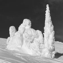 Load image into Gallery viewer, Snow Ghosts B&amp;W- Trivet #2110
