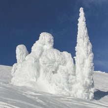 Load image into Gallery viewer, Snow Ghosts - Trivet #2111
