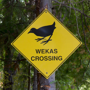 Wekas Crossing - Coasters #2158