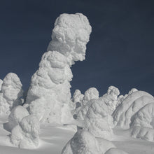 Load image into Gallery viewer, Snow Ghosts - Trivet #2185
