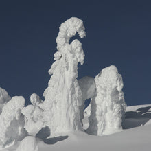 Load image into Gallery viewer, Snow Ghosts - Trivet #2194
