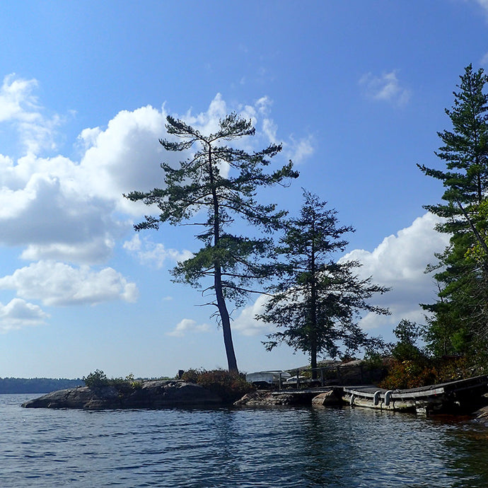 Lake Joseph Pines - Trivet #9938