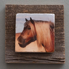 Load image into Gallery viewer, Pulchritudinous - On Barn Board 0499

