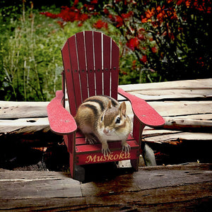 Muskoka Chair Chippy - Coasters #9892