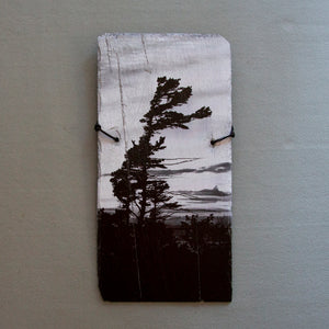 Windswept Pine B&W - Slate Wall Art 0011