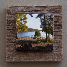 Load image into Gallery viewer, Algonquin Campsite - On Barn Board 2234
