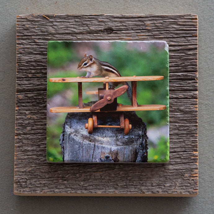 Chippy The Aviator - On Barn Board 4629