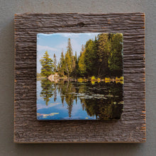 Load image into Gallery viewer, Algonquin - On Barn Board 6790

