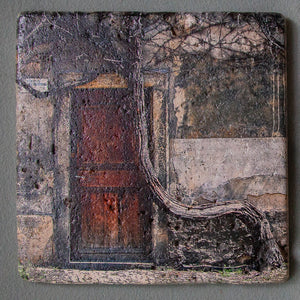 The Crooked Tree Wall Art