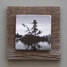 Load image into Gallery viewer, Windswept Pine B&amp;W - On Barn Board 0854
